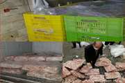 دامپزشکی ساوجبلاغ بیش از ۶۰۰ کیلوگرم بال و کتف مرغ آلوده به سالمونلا را معدوم کرد